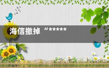海信撤掉“******第二”广告 海信的广告费可能是***